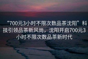 “700元3小時(shí)不限次數(shù)品茶沈陽(yáng)”科技引領(lǐng)品茶新風(fēng)尚，沈陽(yáng)開(kāi)啟700元3小時(shí)不限次數(shù)品茶新時(shí)代