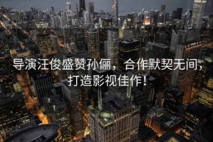 導(dǎo)演汪俊盛贊孫儷，合作默契無間，打造影視佳作！