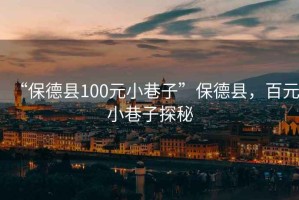 “保德縣100元小巷子”保德縣，百元小巷子探秘