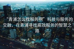“青浦怎么找服務(wù)啊”科技與服務(wù)的交融，在青浦尋找高效服務(wù)的智慧之路