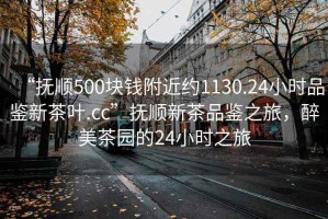 “撫順500塊錢(qián)附近約1130.24小時(shí)品鑒新茶葉.cc”撫順新茶品鑒之旅，醉美茶園的24小時(shí)之旅