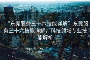 “東莞服務三十六技能詳解”東莞服務三十六技能詳解，科技領域專業(yè)技能解析