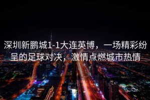 深圳新鵬城1-1大連英博，一場精彩紛呈的足球對決，激情點燃城市熱情