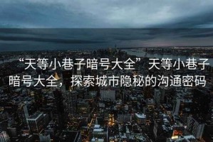 “天等小巷子暗號大全”天等小巷子暗號大全，探索城市隱秘的溝通密碼