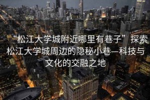 “松江大學(xué)城附近哪里有巷子”探索松江大學(xué)城周邊的隱秘小巷—科技與文化的交融之地
