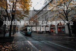 風(fēng)景如畫(huà)新西蘭，見(jiàn)證中澳汽車(chē)產(chǎn)業(yè)的璀璨篇章