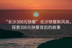 “長沙300元快餐”長沙快餐新風尚，探索300元快餐背后的故事