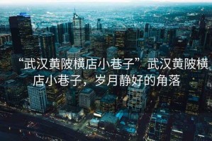 “武漢黃陂橫店小巷子”武漢黃陂橫店小巷子，歲月靜好的角落