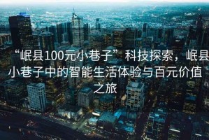 “岷縣100元小巷子”科技探索，岷縣小巷子中的智能生活體驗與百元價值之旅