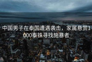 中國男子在泰國遭遇襲擊，家屬懸賞1000泰銖尋找施暴者