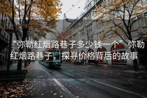 “彌勒紅煙路巷子多少錢一個”彌勒紅煙路巷子，探尋價格背后的故事