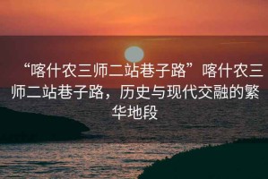 “喀什農(nóng)三師二站巷子路”喀什農(nóng)三師二站巷子路，歷史與現(xiàn)代交融的繁華地段