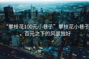 “攀枝花100元小巷子”攀枝花小巷子，百元之下的風景獨好