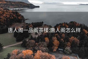 唐人閣一品閣茶樓:唐人閣怎么樣