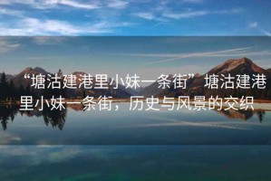“塘沽建港里小妹一條街”塘沽建港里小妹一條街，歷史與風(fēng)景的交織