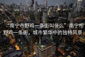 “南寧市野雞一條街叫什么”南寧市野雞一條街，城市繁華中的獨特風(fēng)景