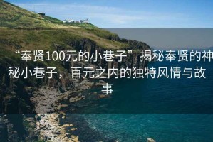 “奉賢100元的小巷子”揭秘奉賢的神秘小巷子，百元之內(nèi)的獨特風情與故事