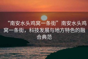 “南安水頭雞窩一條街”南安水頭雞窩一條街，科技發(fā)展與地方特色的融合典范