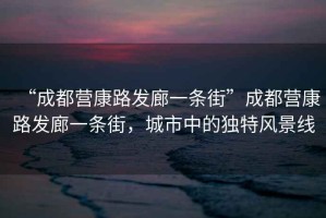 “成都營(yíng)康路發(fā)廊一條街”成都營(yíng)康路發(fā)廊一條街，城市中的獨(dú)特風(fēng)景線
