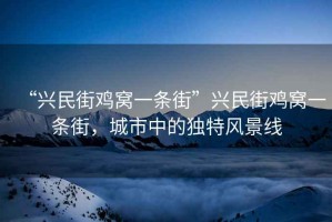 “興民街雞窩一條街”興民街雞窩一條街，城市中的獨(dú)特風(fēng)景線