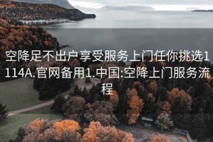 空降足不出戶享受服務(wù)上門任你挑選1114A.官網(wǎng)備用1.中國:空降上門服務(wù)流程