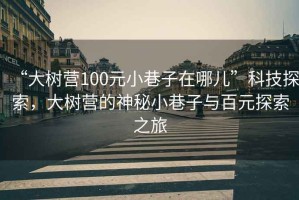 “大樹營100元小巷子在哪兒”科技探索，大樹營的神秘小巷子與百元探索之旅