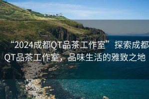 “2024成都QT品茶工作室”探索成都QT品茶工作室，品味生活的雅致之地