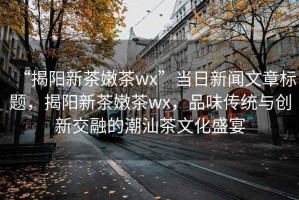 “揭陽新茶嫩茶wx”當(dāng)日新聞文章標(biāo)題，揭陽新茶嫩茶wx，品味傳統(tǒng)與創(chuàng)新交融的潮汕茶文化盛宴