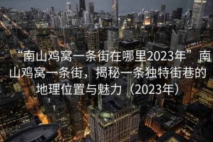 “南山雞窩一條街在哪里2023年”南山雞窩一條街，揭秘一條獨(dú)特街巷的地理位置與魅力（2023年）