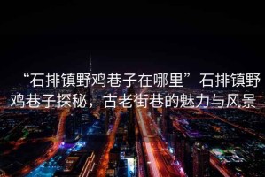 “石排鎮(zhèn)野雞巷子在哪里”石排鎮(zhèn)野雞巷子探秘，古老街巷的魅力與風(fēng)景