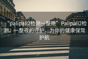 “palipali2檢測(cè)一整晚”Palipali2檢測(cè)，一整夜的守護(hù)，為你的健康保駕護(hù)航