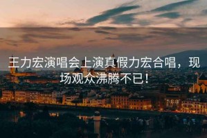 王力宏演唱會上演真假力宏合唱，現(xiàn)場觀眾沸騰不已！