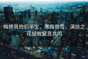 梅婷我的后半生，寒梅傲雪，演技之花綻放窒息共鳴