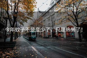 今年蚊子不是變少了，只是熱懶了！