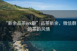 “新余品茶wx群”品茶新余，微信群的茶韻風(fēng)情