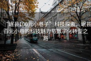 “岷縣100元小巷子”科技探索，岷縣百元小巷的科技魅力與數(shù)字化轉(zhuǎn)型之路