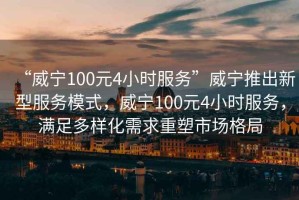 “威寧100元4小時(shí)服務(wù)”威寧推出新型服務(wù)模式，威寧100元4小時(shí)服務(wù)，滿足多樣化需求重塑市場(chǎng)格局