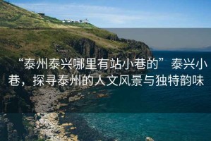 “泰州泰興哪里有站小巷的”泰興小巷，探尋泰州的人文風(fēng)景與獨(dú)特韻味
