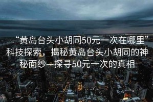 “黃島臺頭小胡同50元一次在哪里”科技探索，揭秘黃島臺頭小胡同的神秘面紗—探尋50元一次的真相