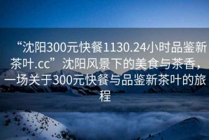 “沈陽300元快餐1130.24小時(shí)品鑒新茶葉.cc”沈陽風(fēng)景下的美食與茶香，一場關(guān)于300元快餐與品鑒新茶葉的旅程