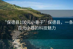 “保德縣100元小巷子”保德縣，一條百元小巷的科技魅力
