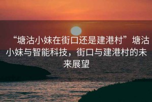 “塘沽小妹在街口還是建港村”塘沽小妹與智能科技，街口與建港村的未來展望