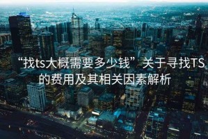 “找ts大概需要多少錢(qián)”關(guān)于尋找TS的費(fèi)用及其相關(guān)因素解析