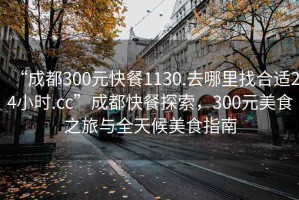 “成都300元快餐1130.去哪里找合適24小時.cc”成都快餐探索，300元美食之旅與全天候美食指南