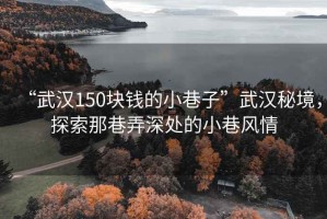 “武漢150塊錢的小巷子”武漢秘境，探索那巷弄深處的小巷風(fēng)情
