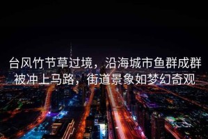 臺(tái)風(fēng)竹節(jié)草過(guò)境，沿海城市魚(yú)群成群被沖上馬路，街道景象如夢(mèng)幻奇觀