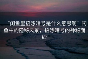 “閑魚里招嫖暗號是什么意思啊”閑魚中的隱秘風(fēng)景，招嫖暗號的神秘面紗
