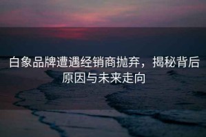 白象品牌遭遇經(jīng)銷商拋棄，揭秘背后原因與未來走向