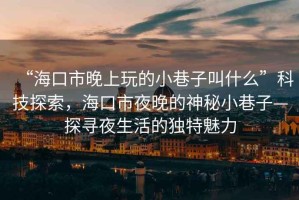 “海口市晚上玩的小巷子叫什么”科技探索，?？谑幸雇淼纳衩匦∠镒印綄ひ股畹莫?dú)特魅力