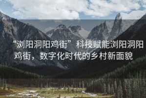 “瀏陽(yáng)洞陽(yáng)雞街”科技賦能瀏陽(yáng)洞陽(yáng)雞街，數(shù)字化時(shí)代的鄉(xiāng)村新面貌